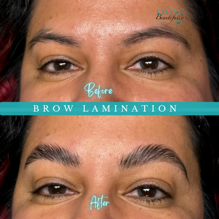 brow Lamination Paulette m